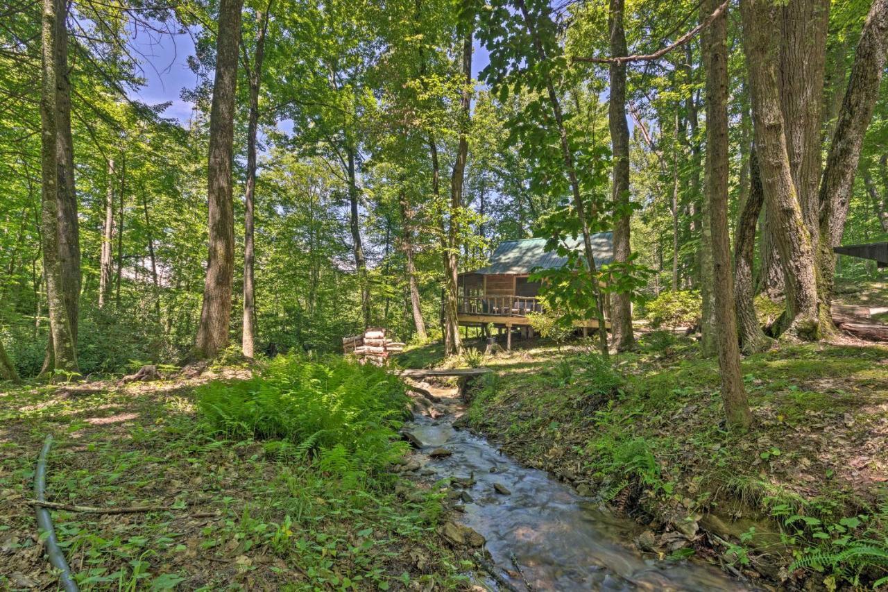 Creekside Cabin With Deck In Pisgah Forest! Barnardsville Экстерьер фото