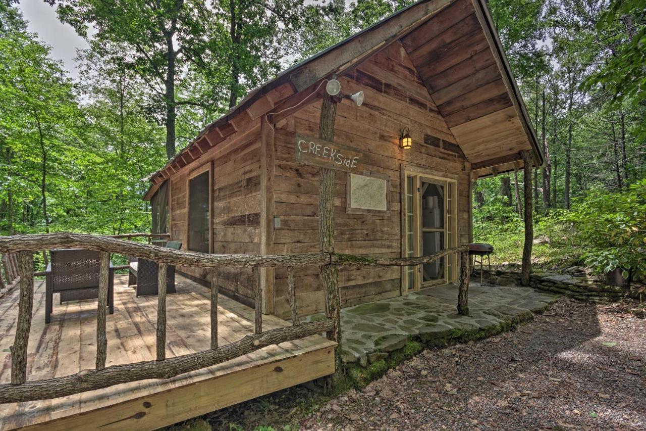 Creekside Cabin With Deck In Pisgah Forest! Barnardsville Экстерьер фото