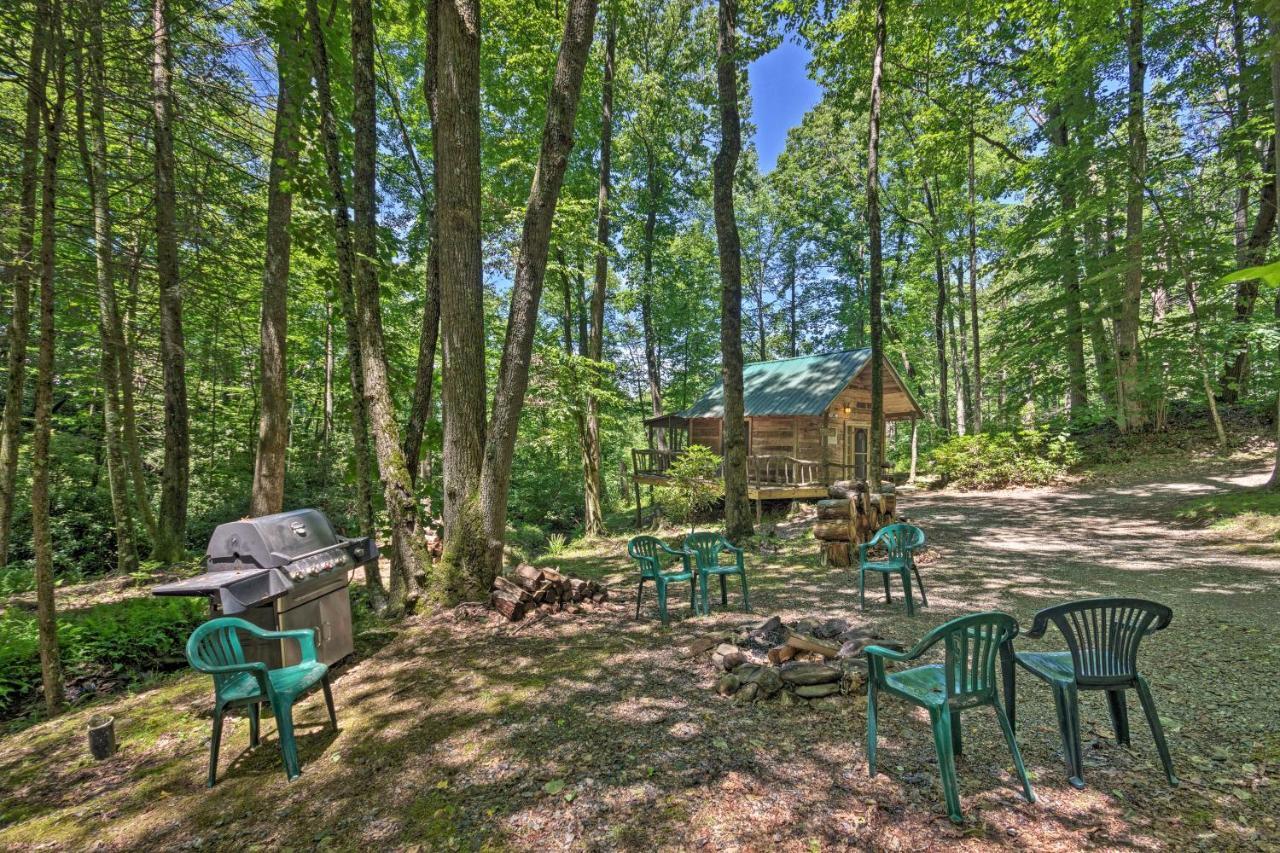 Creekside Cabin With Deck In Pisgah Forest! Barnardsville Экстерьер фото