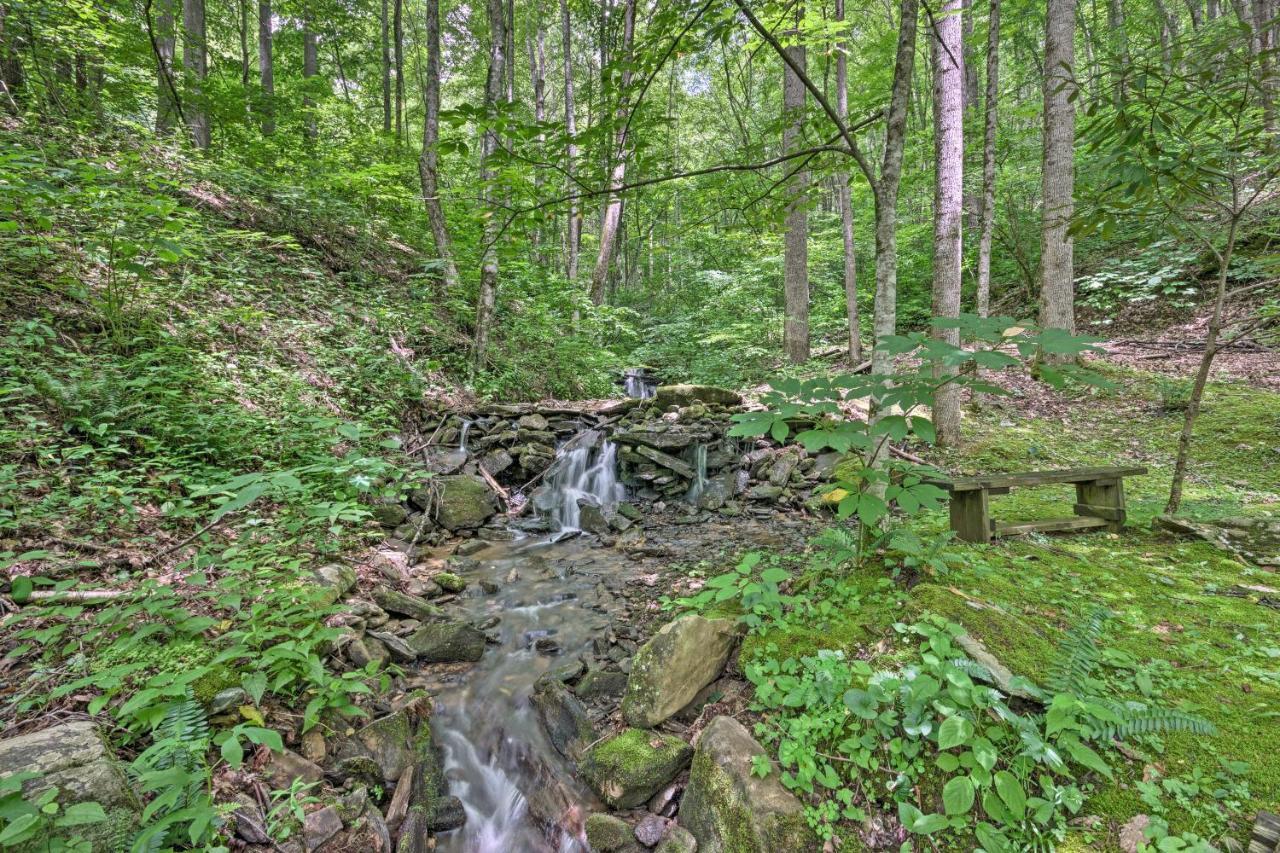 Creekside Cabin With Deck In Pisgah Forest! Barnardsville Экстерьер фото